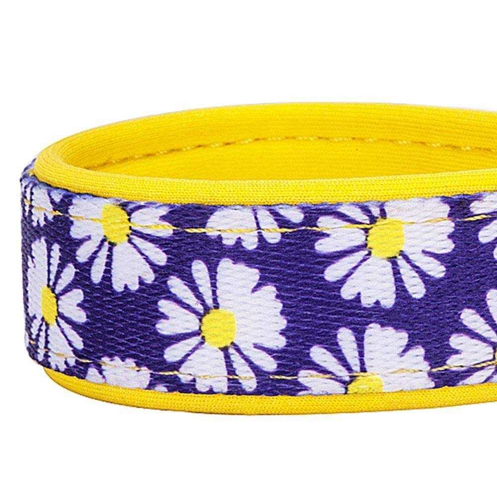 Dog Collar S449036