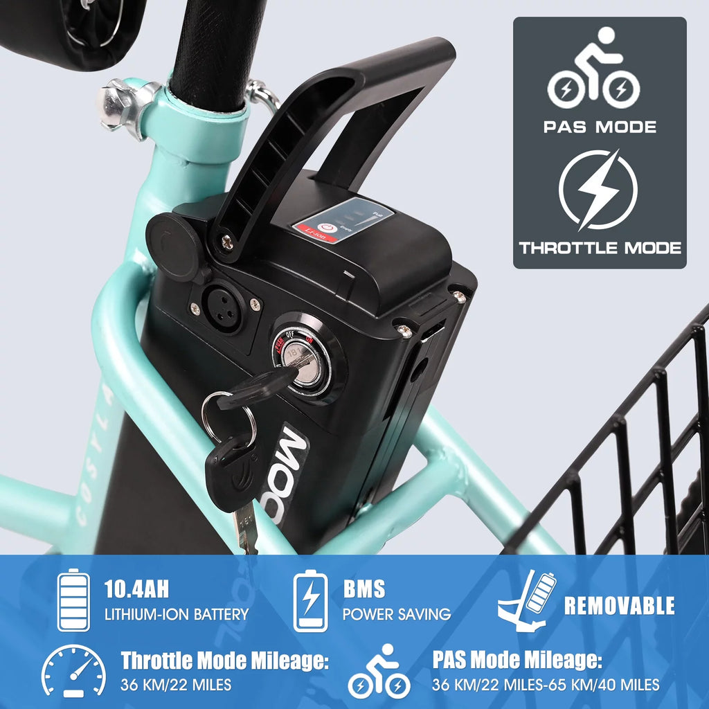 Electric Tricycle with Removable Lithium Battery W733