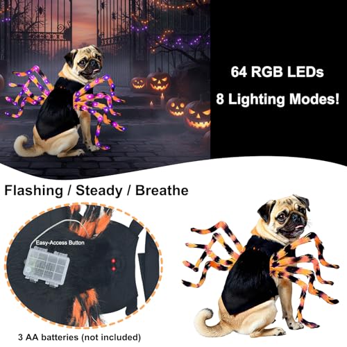 LED Spider Dog Halloween Costume with Multicolor Lights T13532