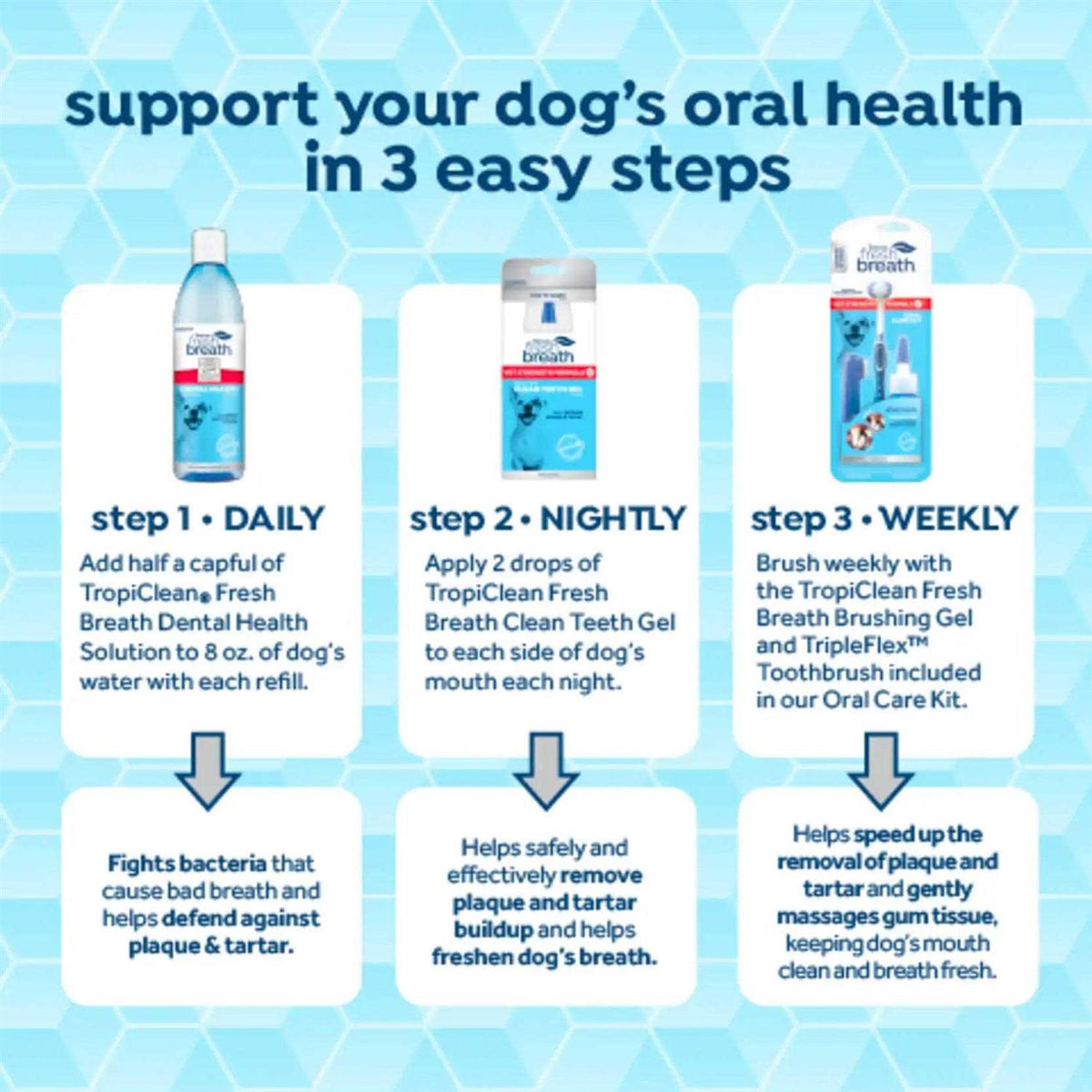 Fresh Breath Oral Care Clean Teeth Gel U361703