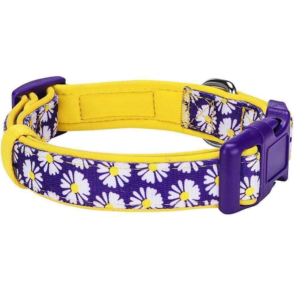 Dog Collar S449036