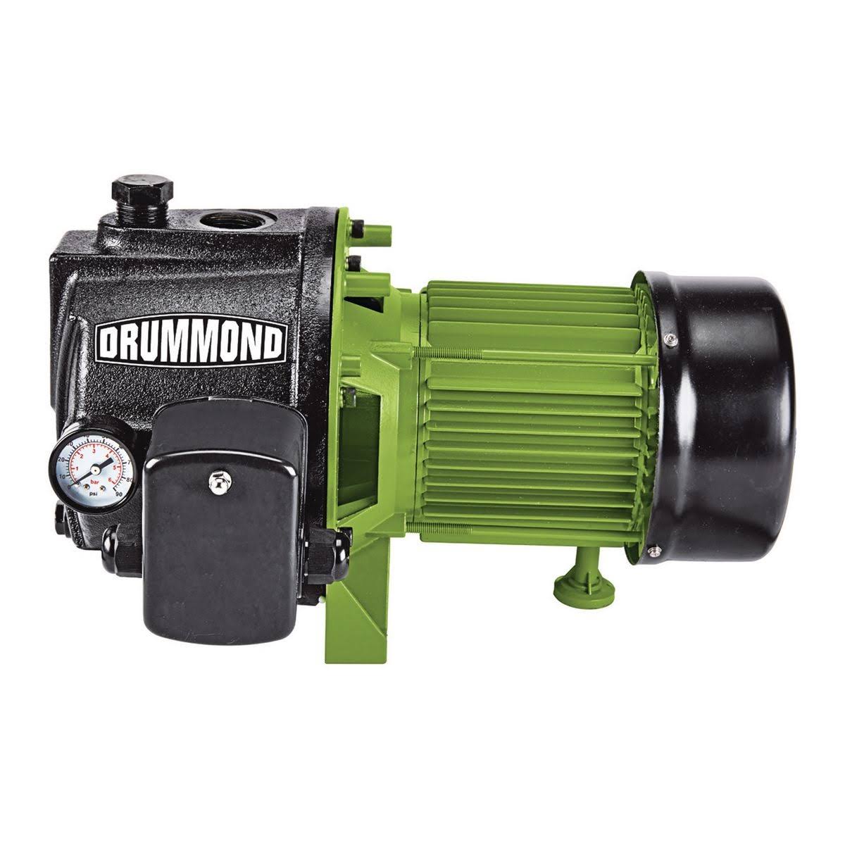 1 HP Cast Iron Shallow Well Pump F94476