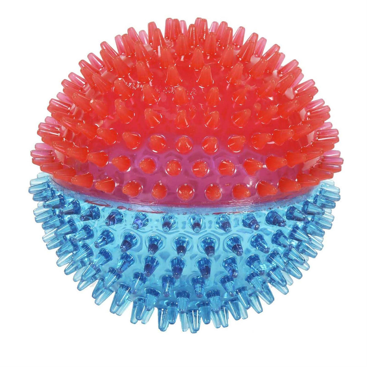 Spiky Ball Dog Toy D8081