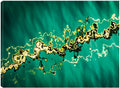 32x24 Canvas Art Q45175