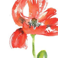 100 Cards Cold Press Watercolor Cards with Envelopes C124603