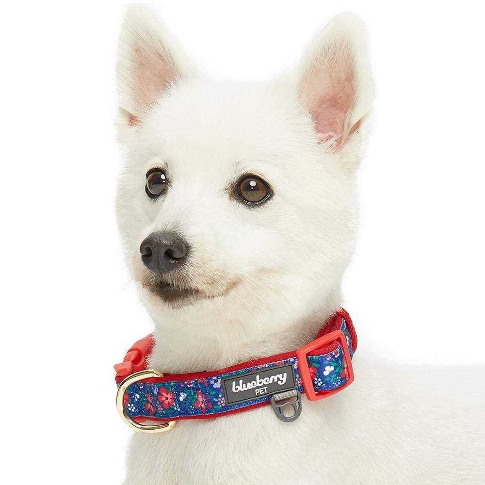 Dog Collar S449036