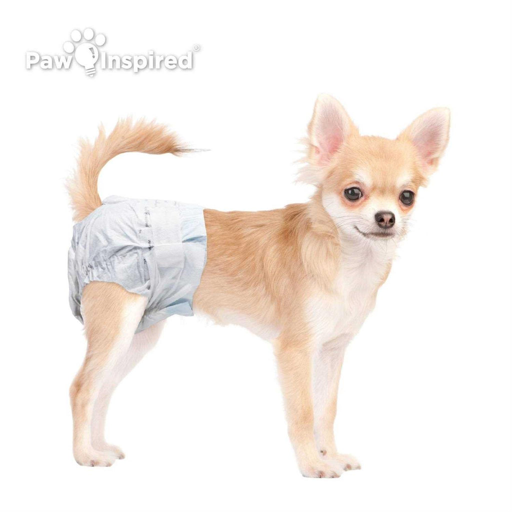 Disposable Dog Diapers U313