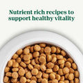 Adult Beef Rice Dry Dog Food T951837