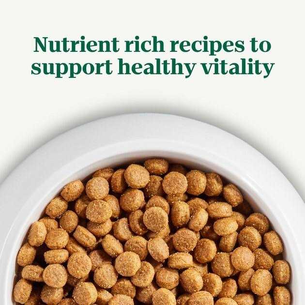 Adult Beef Rice Dry Dog Food T951837