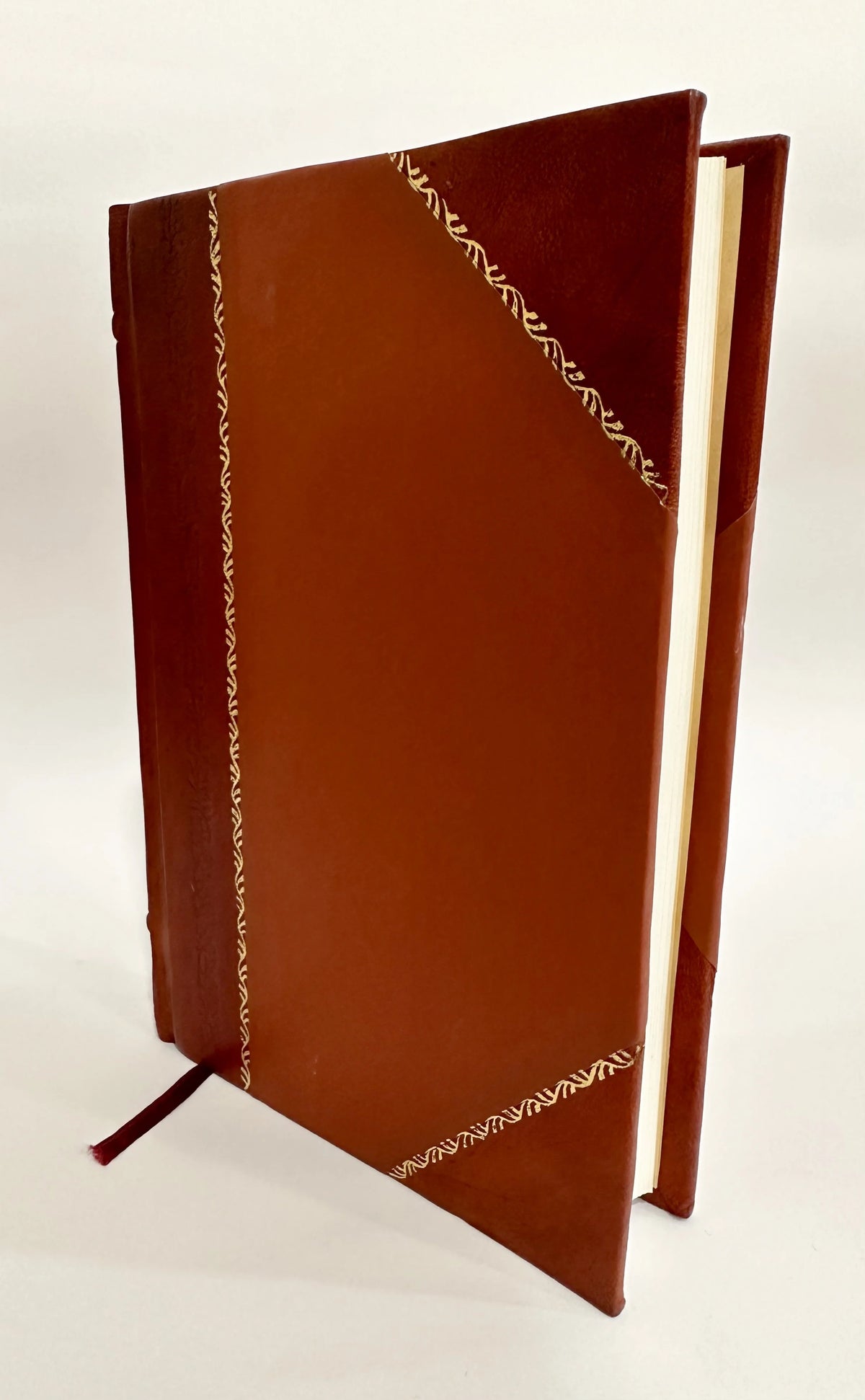 Leather Bound Book B259082