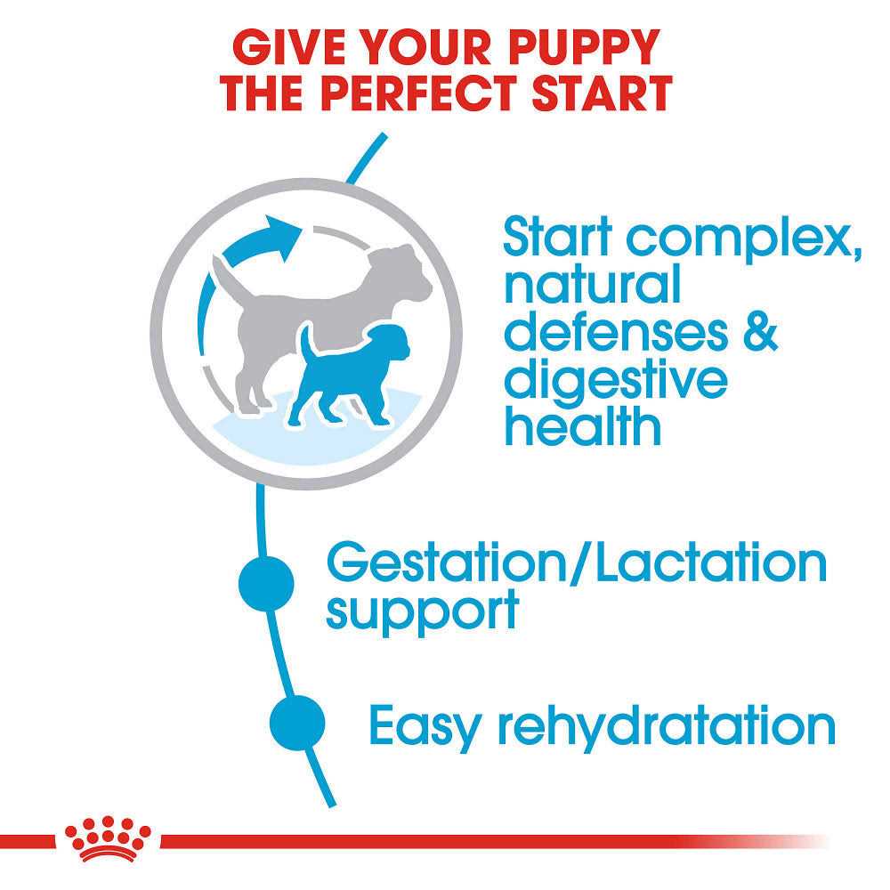Small Starter Dry Dog Food G728