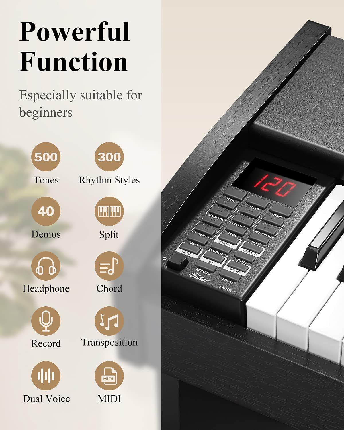 61 Key Full Size Digital Piano with Sustain Pedal & Music Stand R797