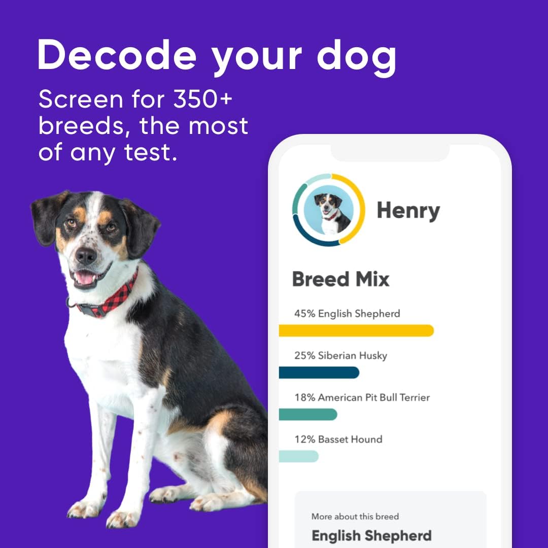 Dog DNA Test Breed Identification Kit G820709