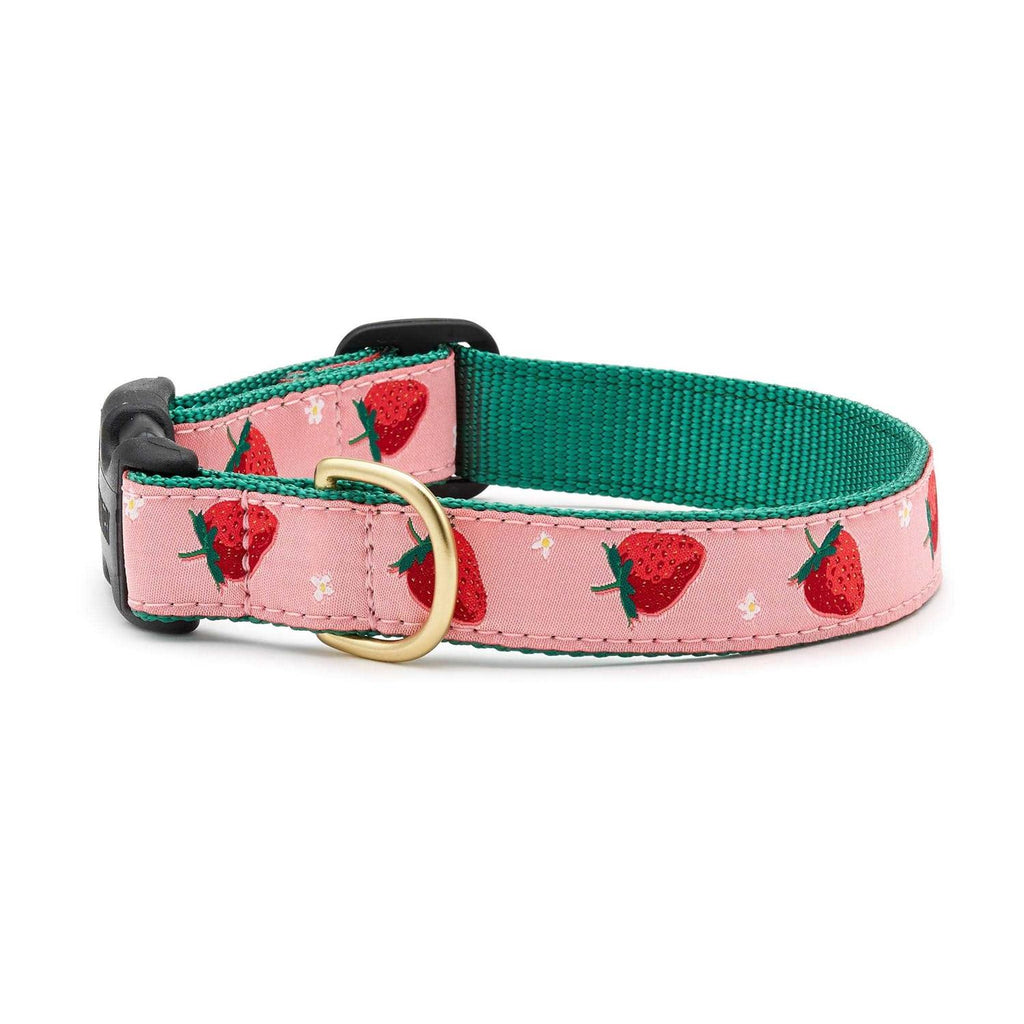 Strawberry Fields Dog Collar A232924