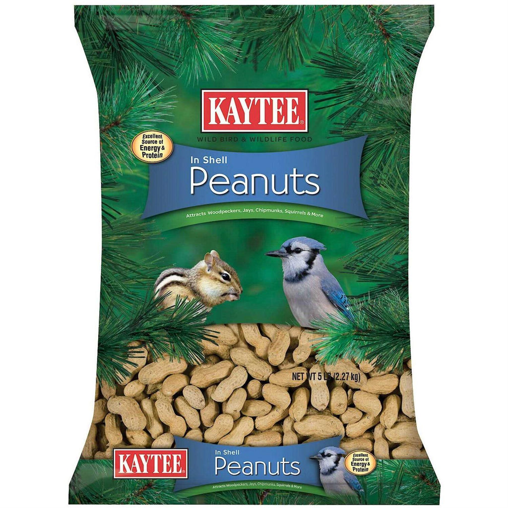 In Shell Peanuts R5749