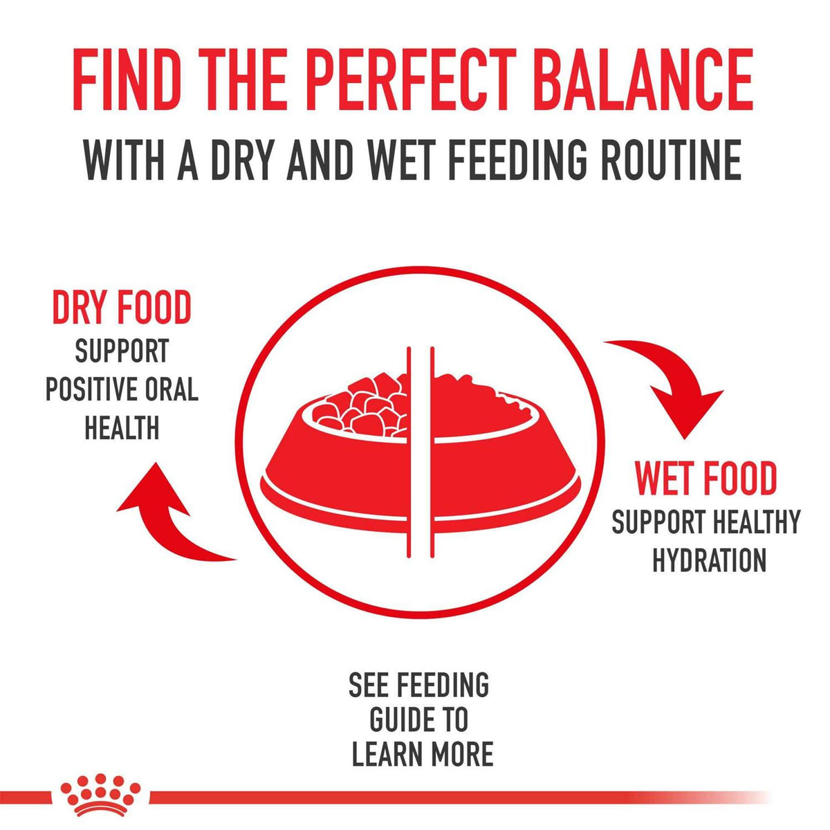 Adult Wet Dog Food R74594