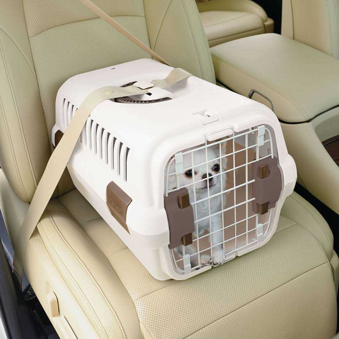 Pet Travel Carrier J798