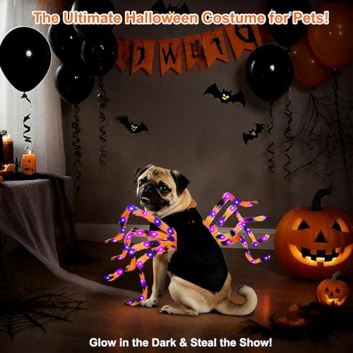 LED Spider Dog Halloween Costume with Multicolor Lights T13532