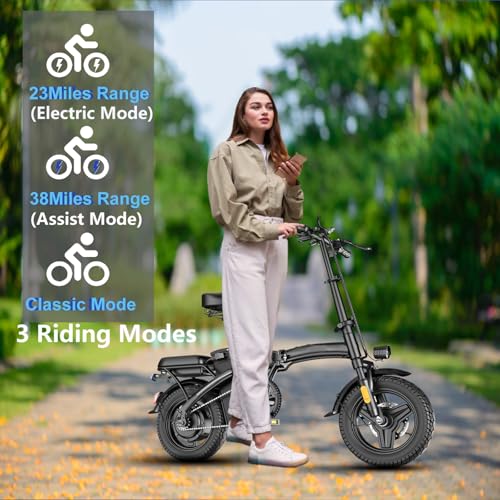 Folding Electric Bike 500W 48V 12AH A9156