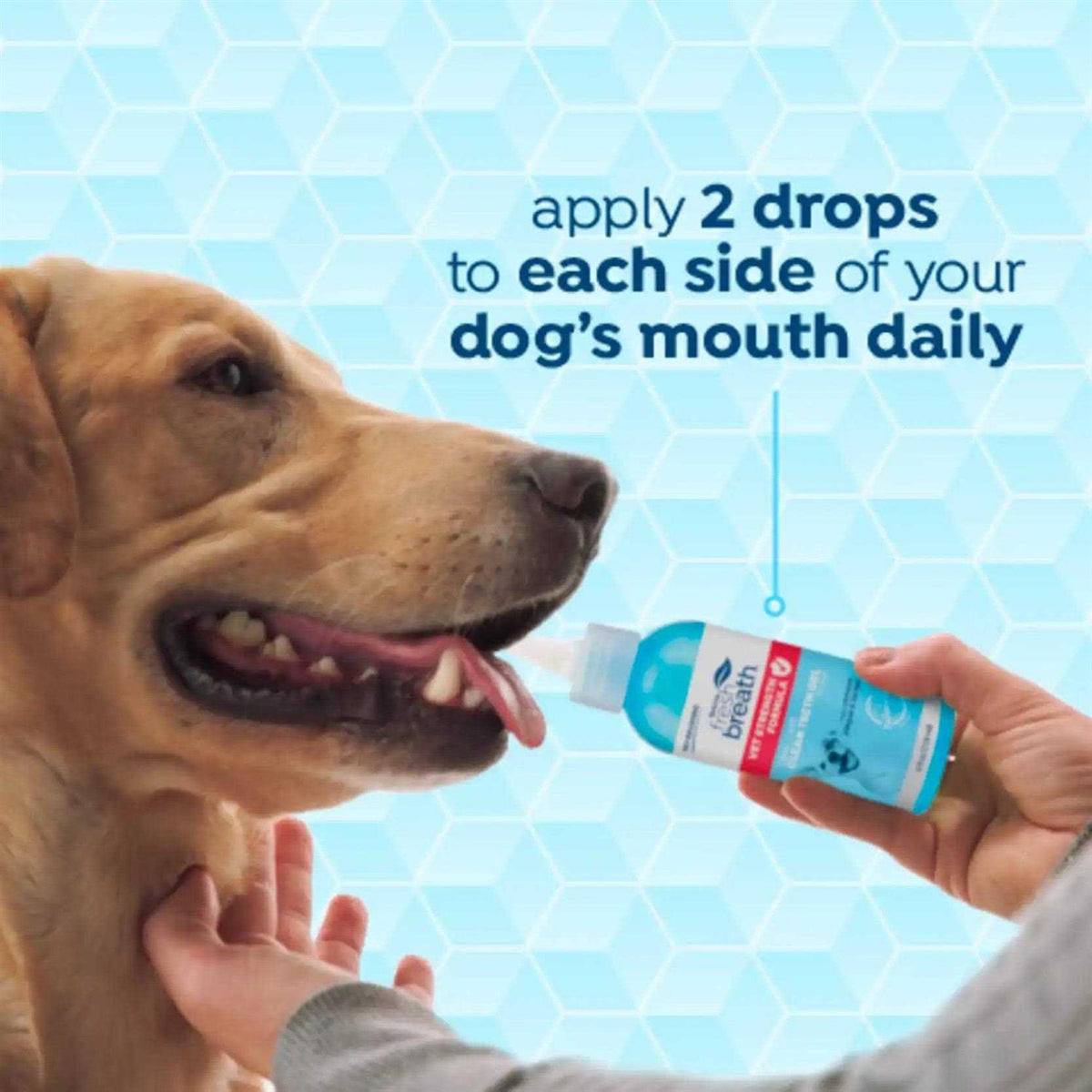 Fresh Breath Oral Care Clean Teeth Gel U361703