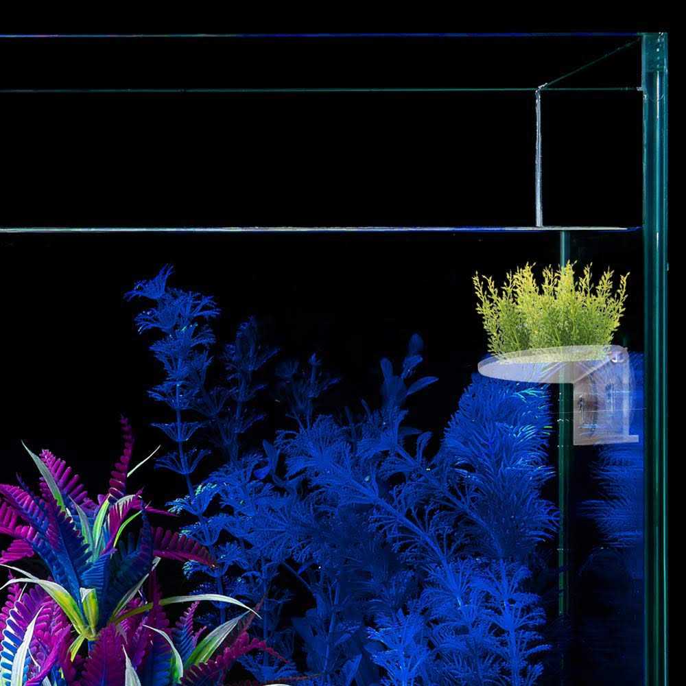 Transparent Acrylic Aquarium Shelf with Suction Cups L5771