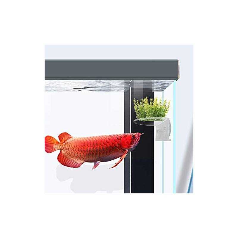 Transparent Acrylic Aquarium Shelf with Suction Cups L5771