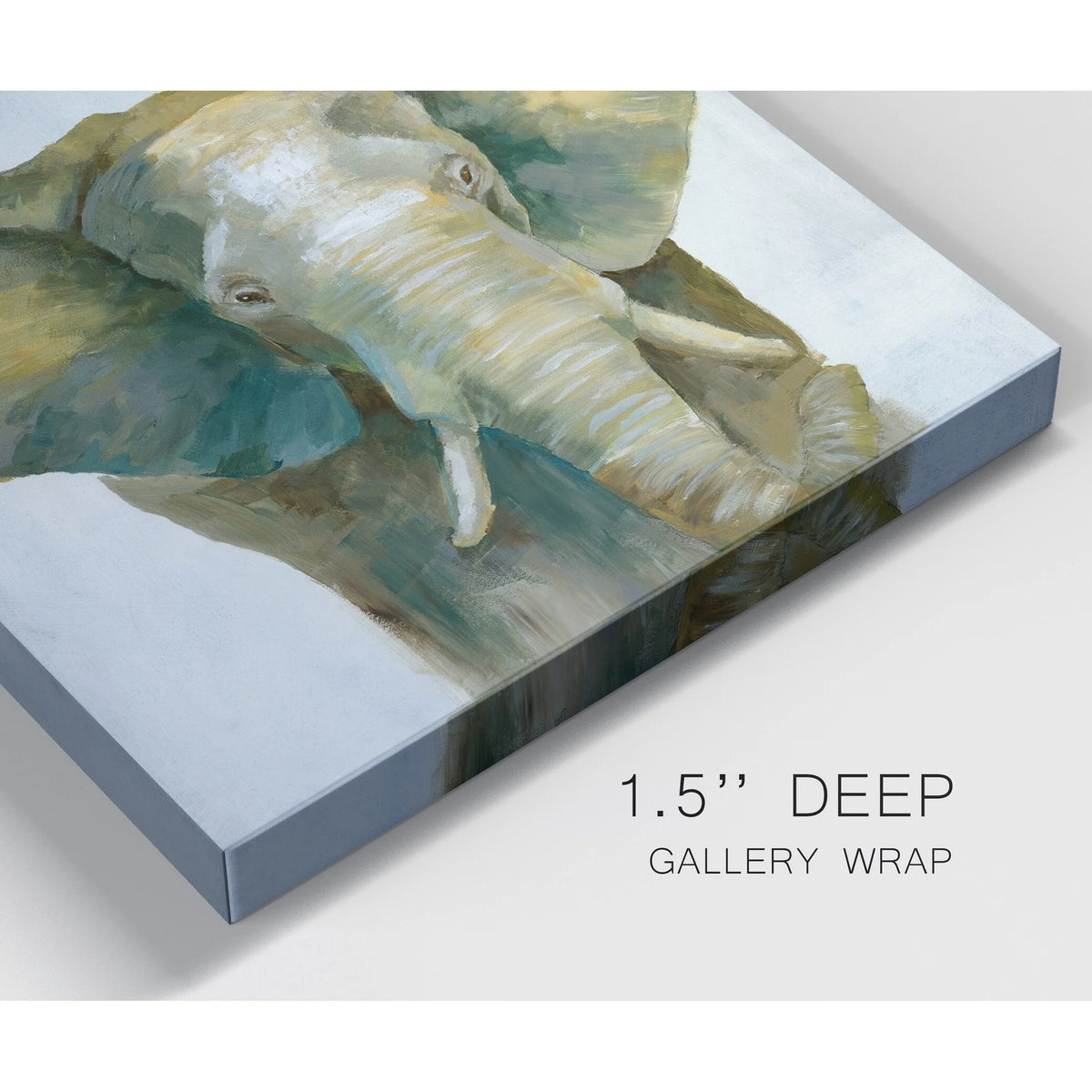 Jade Elephant Gallery Wrapped Canvas U250