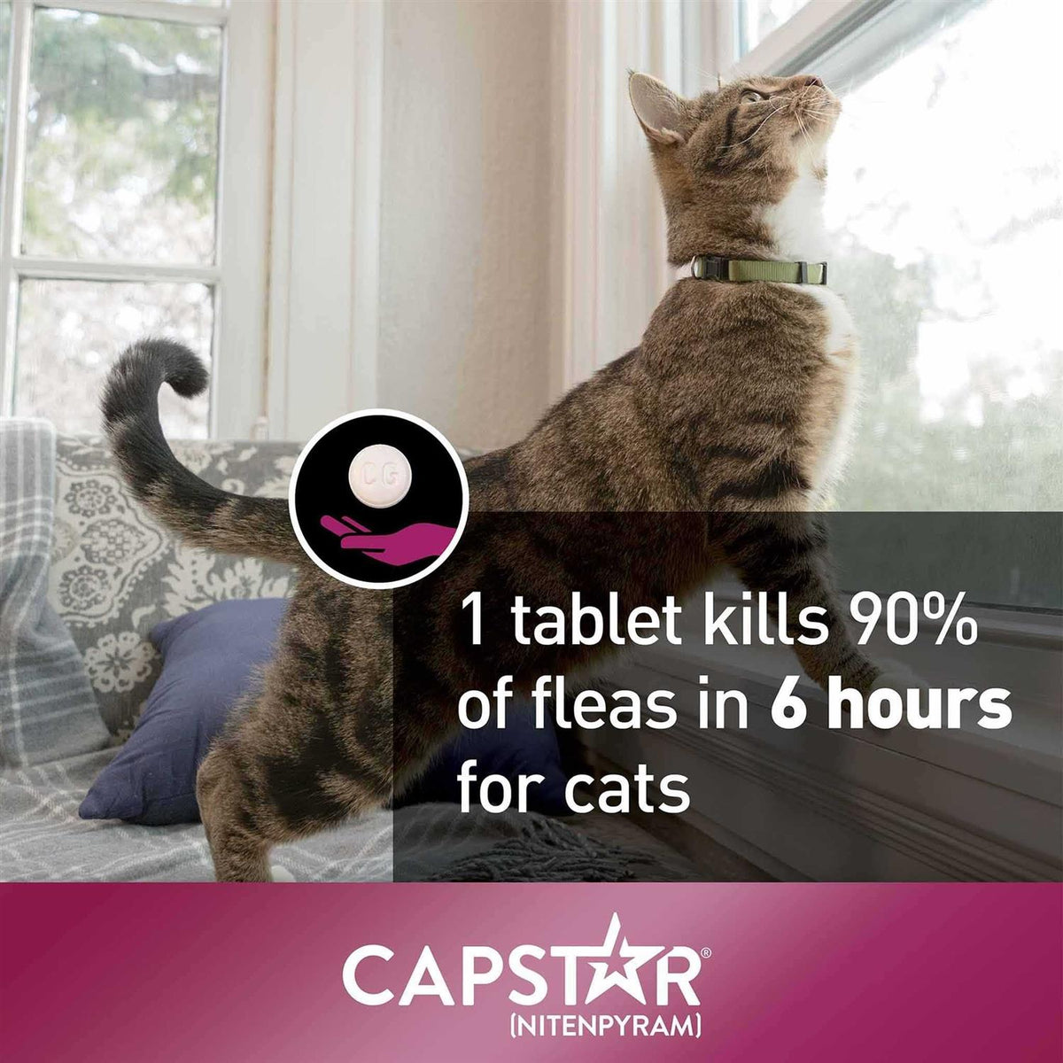 Capstar for Cats U714