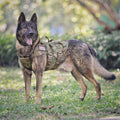 Adjustable Padded Tactical Dog Harness I59380