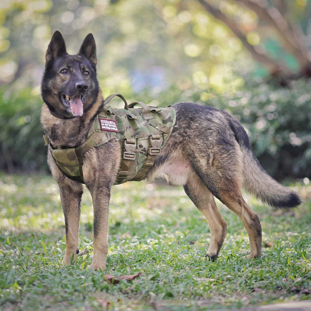 Adjustable Padded Tactical Dog Harness I59380
