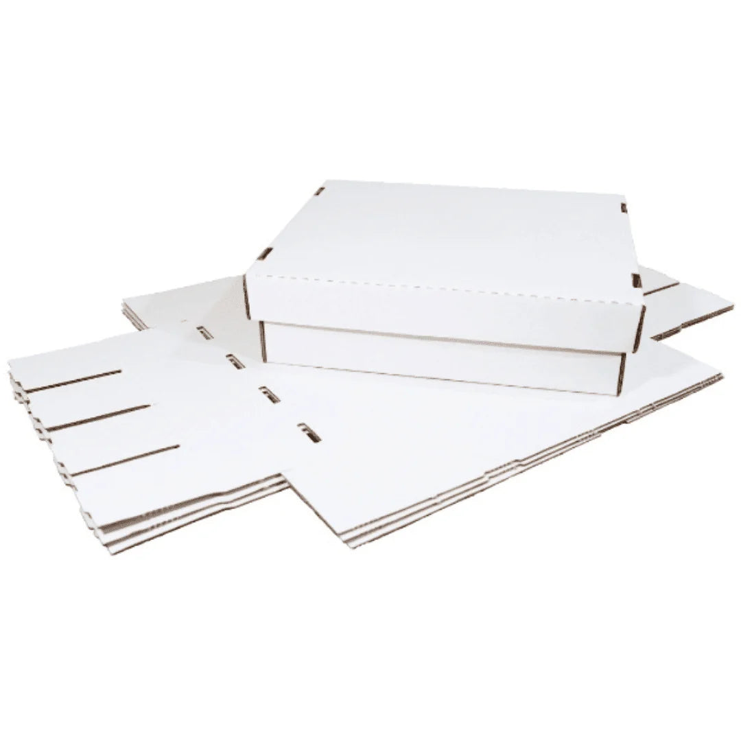 3 Pack Trading Card Storage Box R167