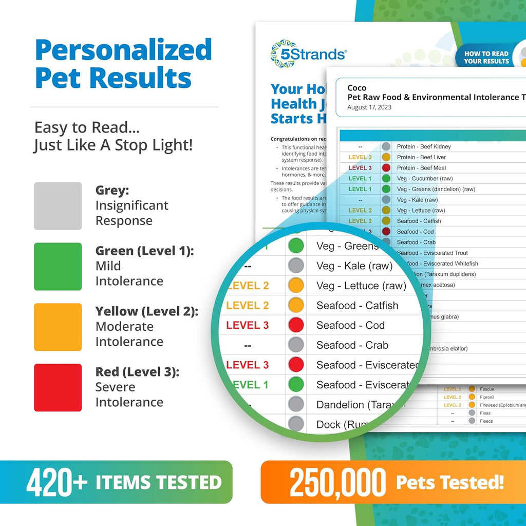 Pet Raw Food Intolerance & Environmental Sensitivity Test, Hair Sample Collection Kit B5008