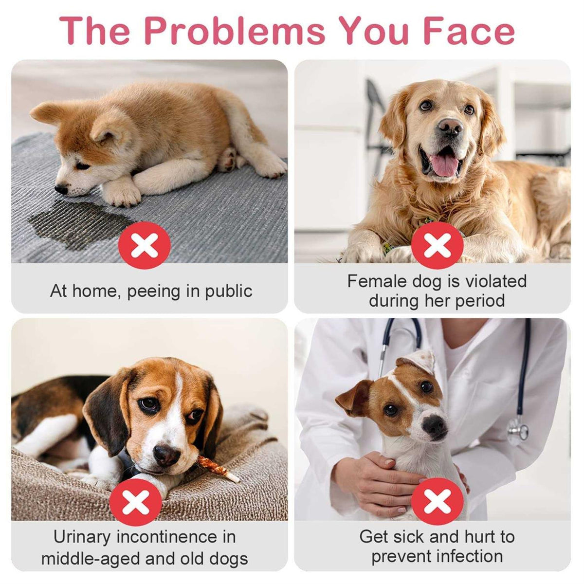 Disposable Female Dog Diapers with Adjustable Elastic Waistline T223