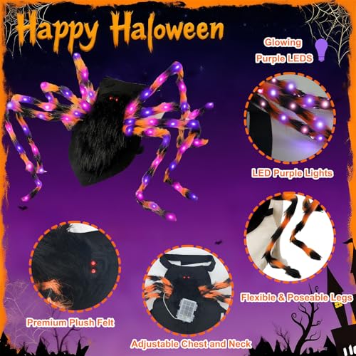 LED Spider Dog Halloween Costume with Multicolor Lights T13532