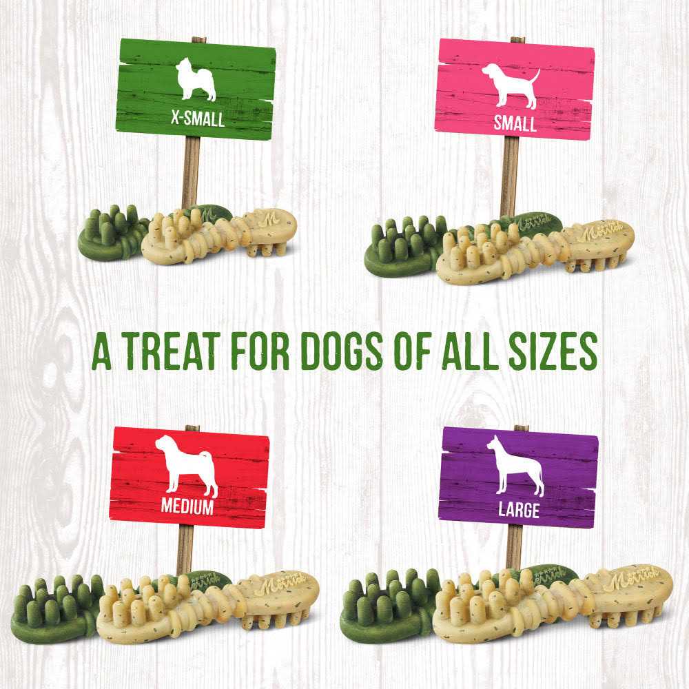 Dental Dog Treats V9923