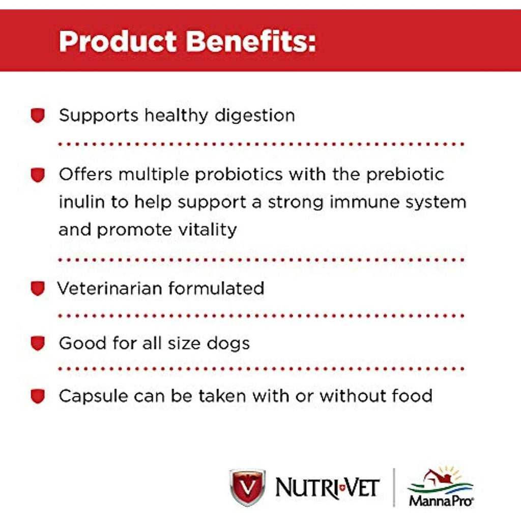 Probiotics for Dogs S140900