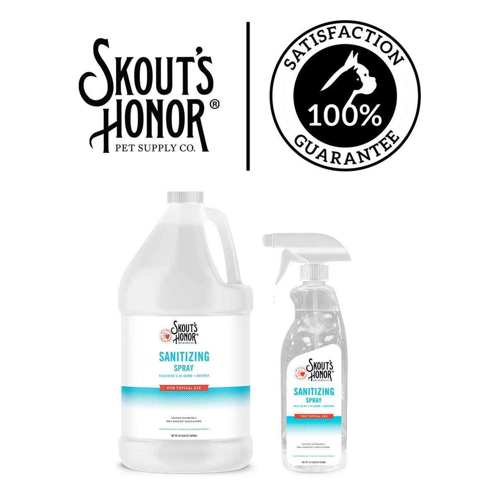 Sanitizing Spray I8630