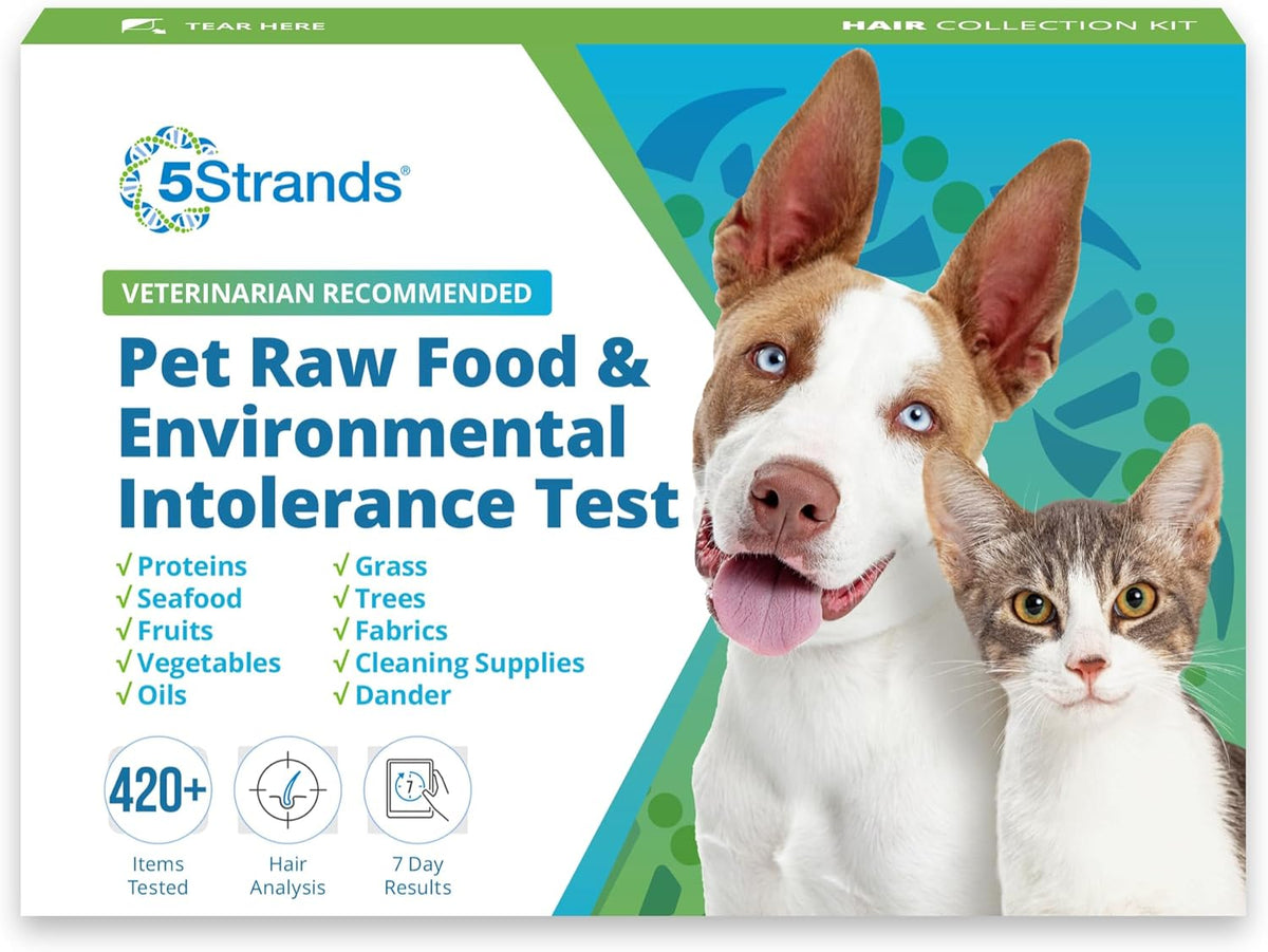 Pet Raw Food Intolerance & Environmental Sensitivity Test, Hair Sample Collection Kit B5008