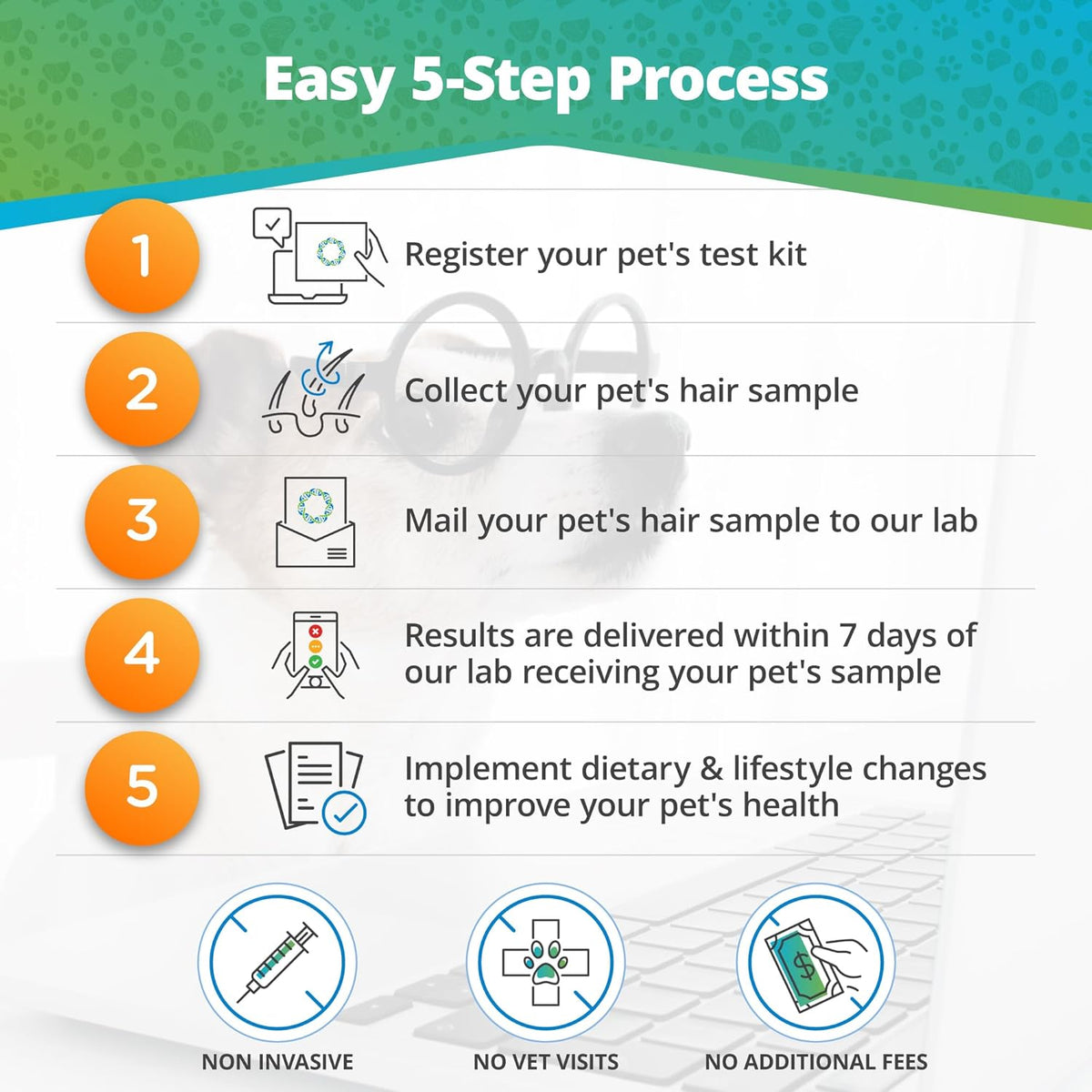 Pet Raw Food Intolerance & Environmental Sensitivity Test, Hair Sample Collection Kit B5008