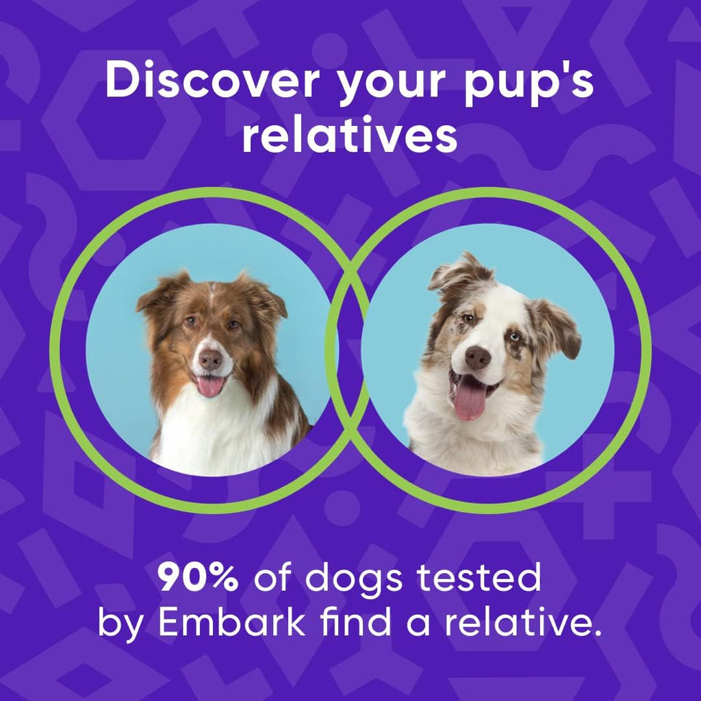 Dog DNA Test Breed Identification Kit G820709