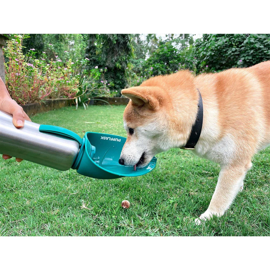 Large Stainless Steel Dog Water Bottle A293712