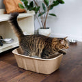 Disposable Cat Litter Box O7951