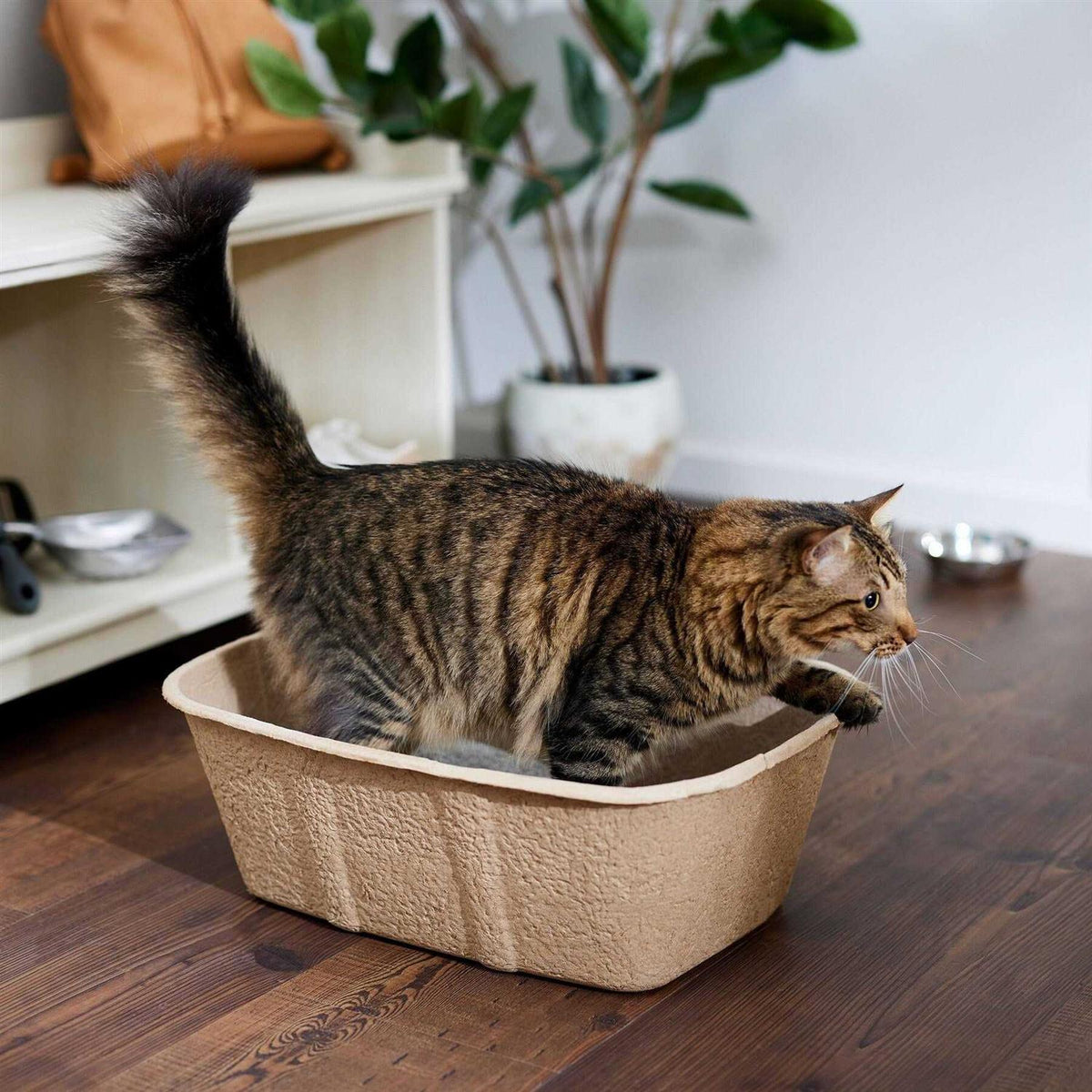 Disposable Cat Litter Box O7951