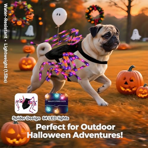 LED Spider Dog Halloween Costume with Multicolor Lights T13532