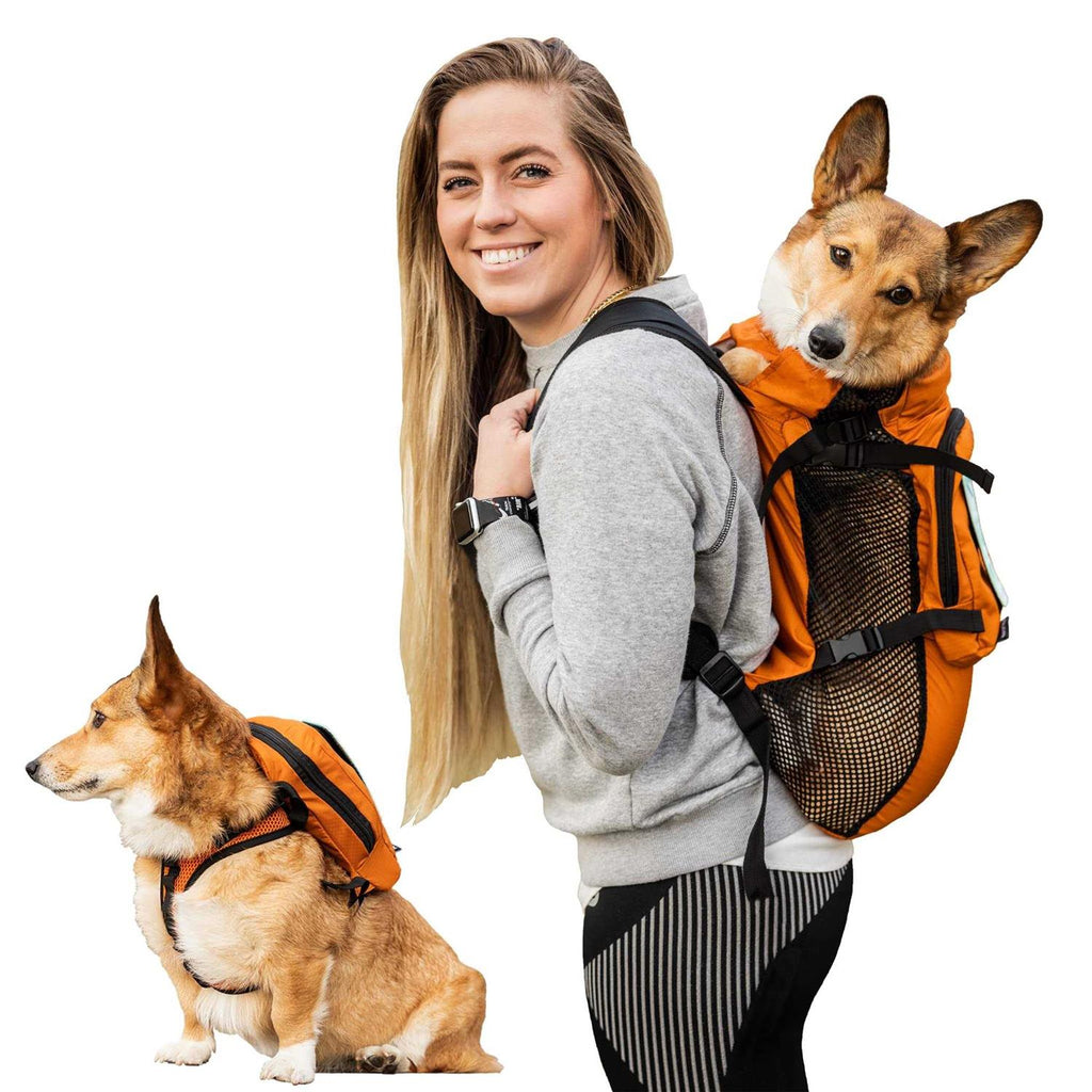 Walk On with Harness & Storage A654