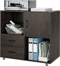 Rustic Brown 2 Drawer Wood Lateral File Cabinet with Door X4317