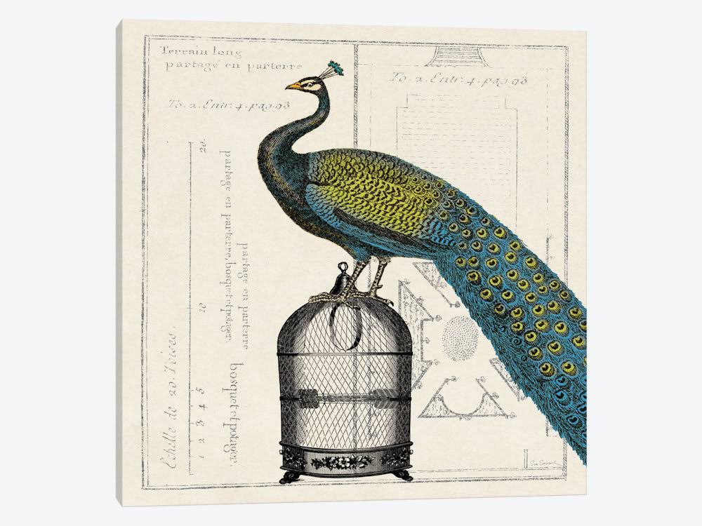 Canvas Art Picture - Peacock Birdcage P961