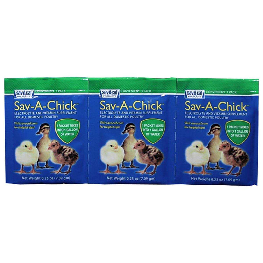 Electrolyte Vitamin Supplement U1915