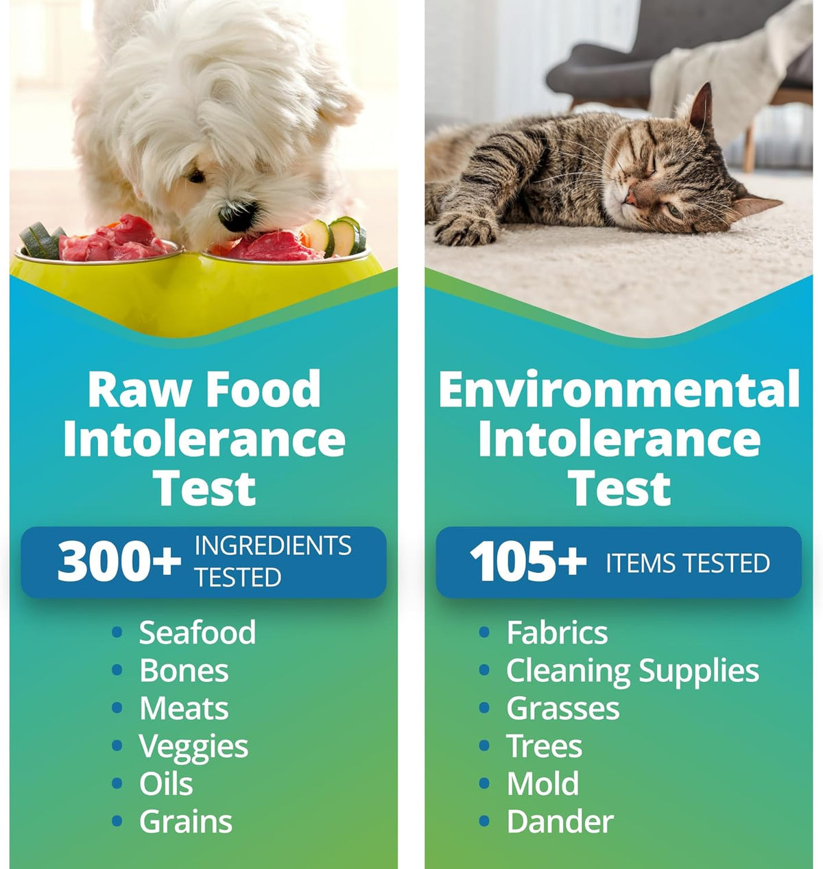 Pet Raw Food Intolerance & Environmental Sensitivity Test, Hair Sample Collection Kit B5008