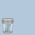 Interior Paint (5-Gallon) Z264